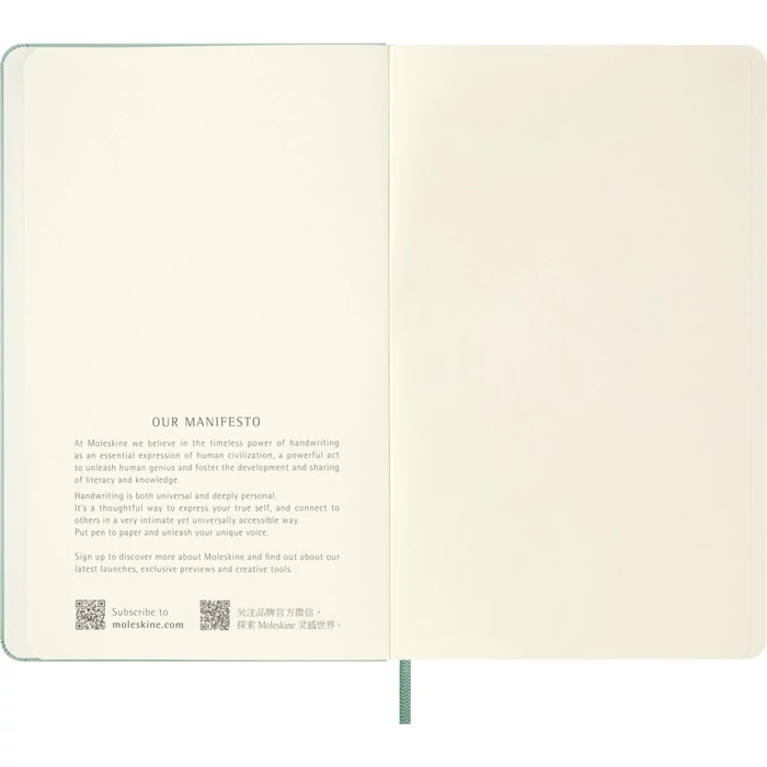 Moleskine Notesz Kemény Zsálya Zöld "L" Méret Sima